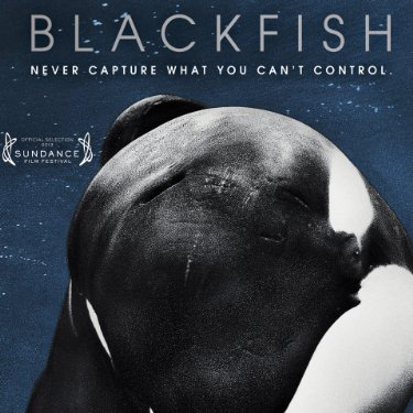 Blackfish Director Gabriela Cowperthwaite