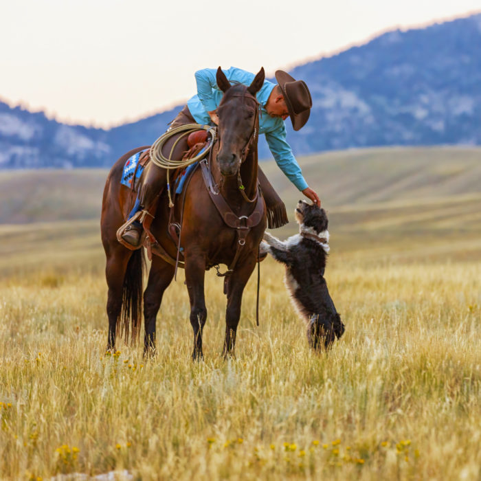 Richard Damon: Traditional Cowboy in the Modern World