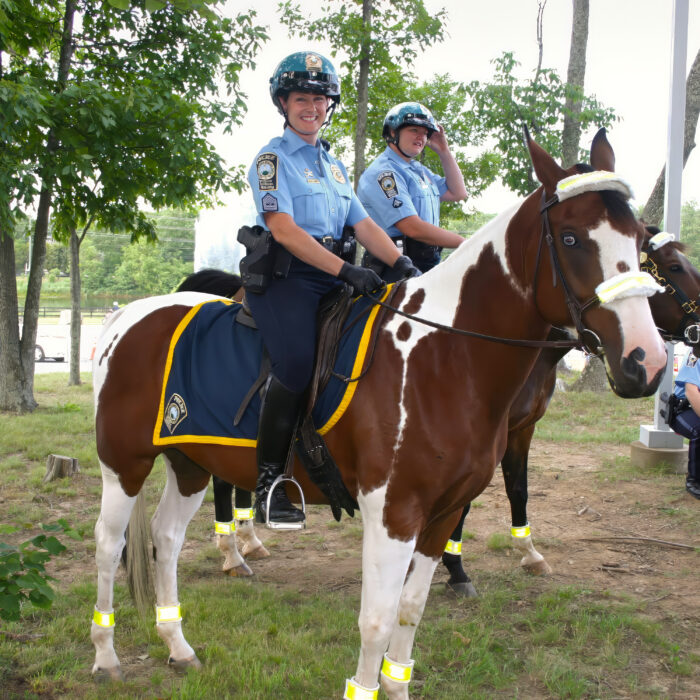 Kim Chinn: Riding Along with the Mounted Police