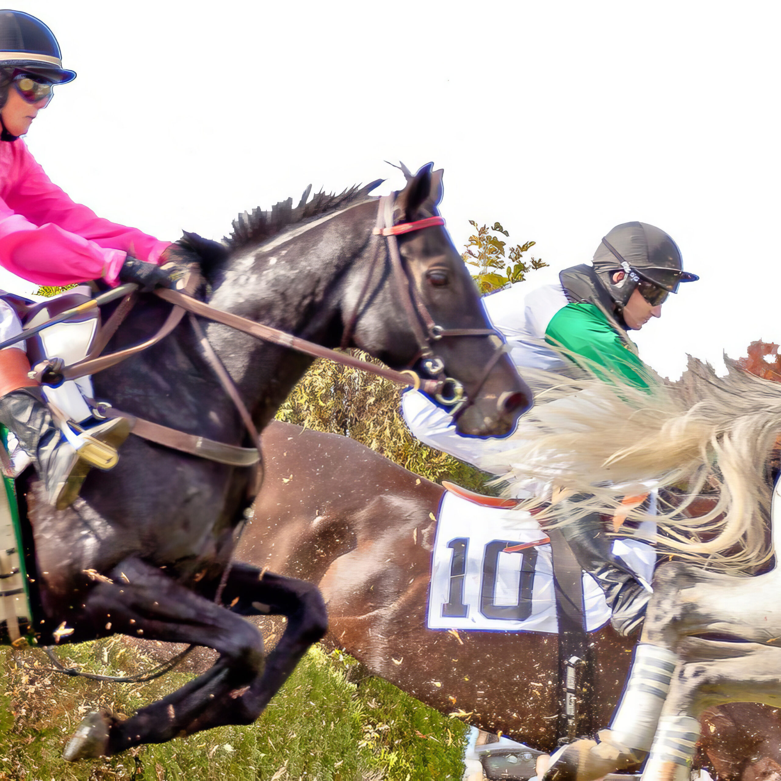 Nick Arundel: Virginia’s International Gold Cup Steeplechase